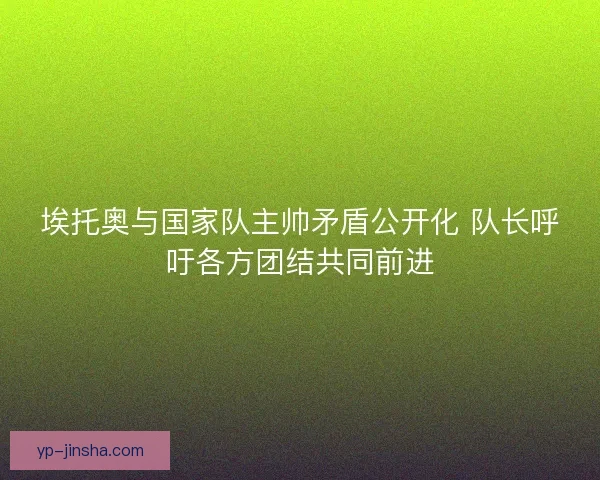 埃托奥与国家队主帅矛盾公开化 队长呼吁各方团结共同前进