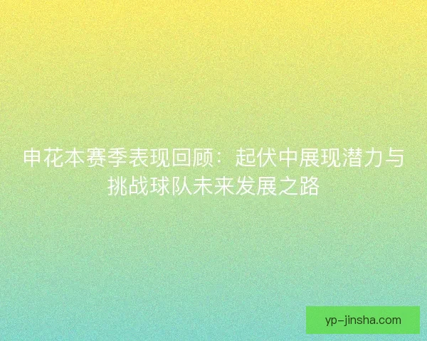 申花本赛季表现回顾：起伏中展现潜力与挑战球队未来发展之路