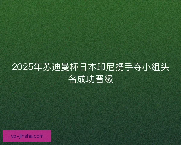 2025年苏迪曼杯日本印尼携手夺小组头名成功晋级 2025年苏迪曼杯日本印尼携手夺小组头名成功晋级